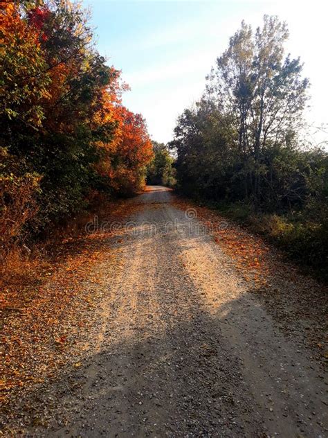 Country Road In Fall Stock Image Image Of Fall Covered 156348605