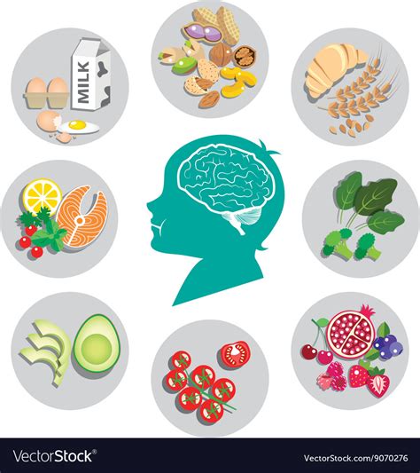 Best Foods For Brain Health And Energy Royalty Free Vector