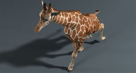 3D Giraffe Fur Animated Giraffe Animation 3d Model