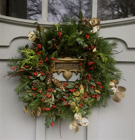 We did not find results for: leyland cypress, sitka spruce, diel's cotoneaster ...