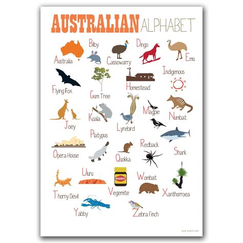 Animals In Australia List
