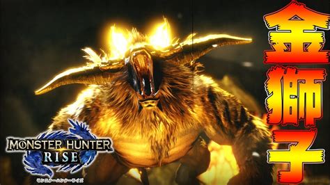 For items shipping to the united states, visit pokemoncenter.com. 【モンハン ライズ】【意識するだけで上手くなる!】ライト ...