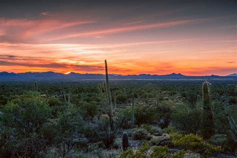 What To Photograph In Saguaro National Park Beauty Of Planet Earth
