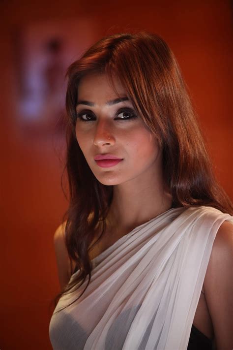 Actress Sara Khan 15 Smoking Hot Photos Download Cinehub