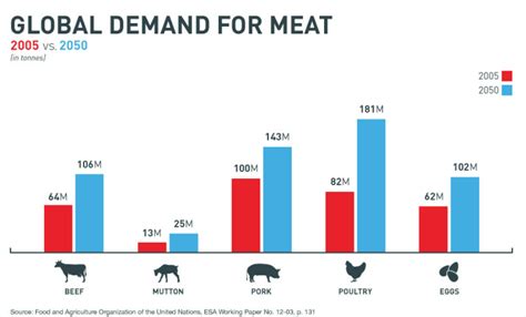 Importance Of Meat Traceability Blockchain For Food Safety Traceability And Supplychain