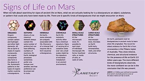 Signs Of Life On Mars The Planetary Society