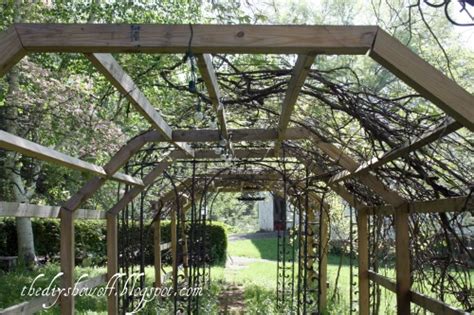 Maybe you would like to learn more about one of these? House Designs School: Grape Arbor Under Construction