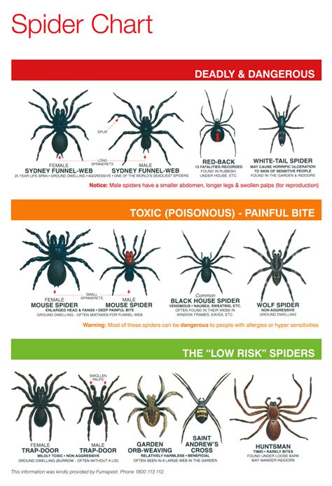 Spider Chart 2021 Farm Guide