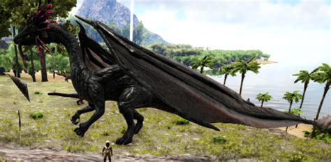 Jabberwock From Dragons Evolved Rark