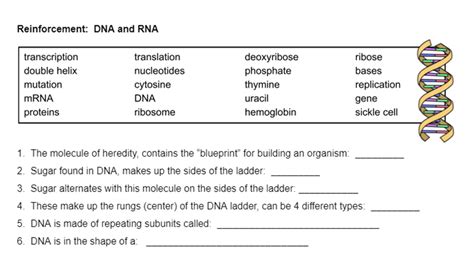 DNA Structure Coloring Activity (teacher made) - Twinkl - Worksheets