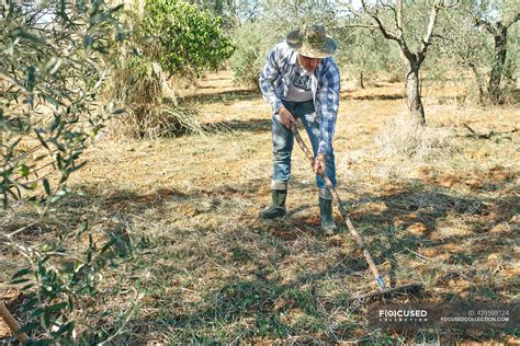 Contadino lavora con il suo rastrello per pulire la sua terra Sanità