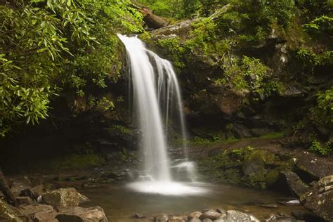 Hiking The Grotto Falls Trail In The Great Smoky Mountains