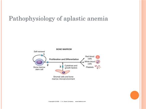 Ppt Aplastic And Hypoplastic Anemias Powerpoint Presentation Id393294