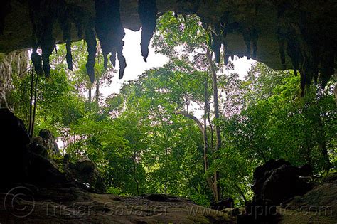 Gua Niah Natural Cave In Rain Forest Borneo