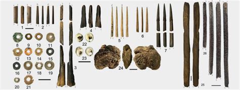 Early Human Counting Tools Math Timeline