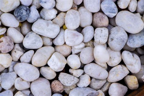 White Natural Pebble Stone Texture On The Ground Stock Photo Image