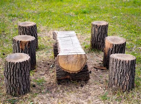 How To Make A Tree Stump Chair All You Need To Know Checkatrade