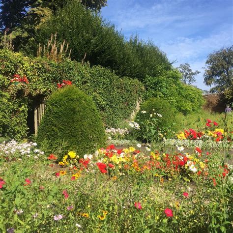Call someone you haven't spoken to in a while. Scottish Wild Flowers within the Walled Garden at House ...