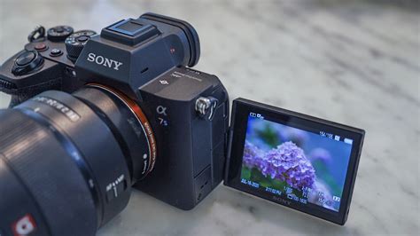 Sonys A7s Iii Has 4k 120p Video And A Fully Articulating Display