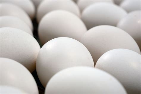 Oakdell Egg Farms Traditional White Eggs