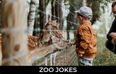 170 Zoo Jokes And Funny Puns Jokojokes