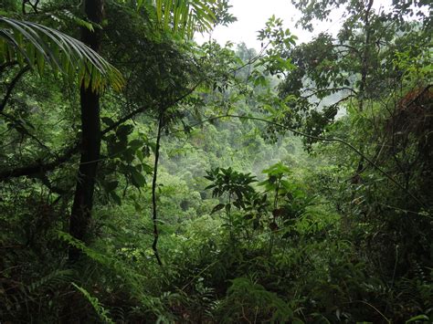 Costa Rica Is One Of 20 Countries With The Greatest Biodiversity In The