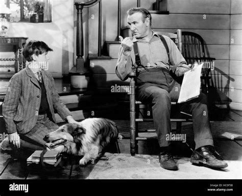 Lassie Come Home From Left Roddy Mcdowall Donald Crisp 1943 Stock