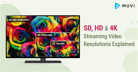 Sd Hd And 4k Streaming Video Resolutions Explained Muvi One