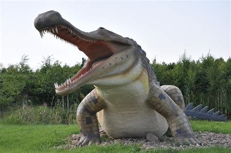 Free Images Jurassic Park Alligator Animal