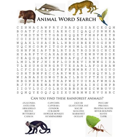 Animal Word Scramble For Kids Rainforest Games Rainforest Activities