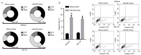 microrna‑409 may function as a tumor suppressor in endometrial carcinoma cells by targeting smad2