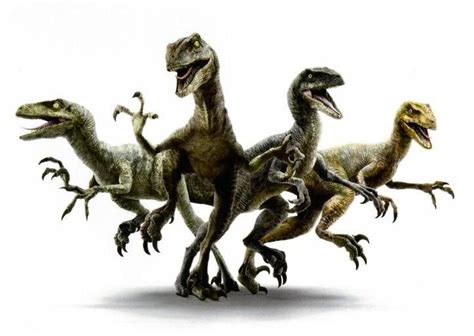 Bando De Velociraptores Do Jurassic World Jurassic Park Wiki Fandom