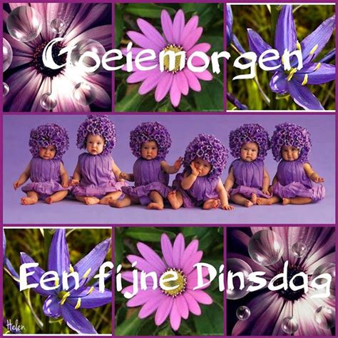 Babies Baby Bloemen Natuur Bloem Paars Schattig Dinsdag Plaatje