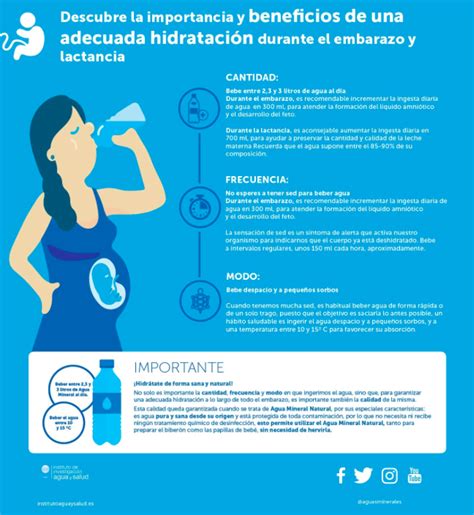 Pi N Realimentaci N Celsius Beneficios Del Agua En El Embarazo Perd N