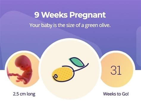 9 weeks pregnant what to expect