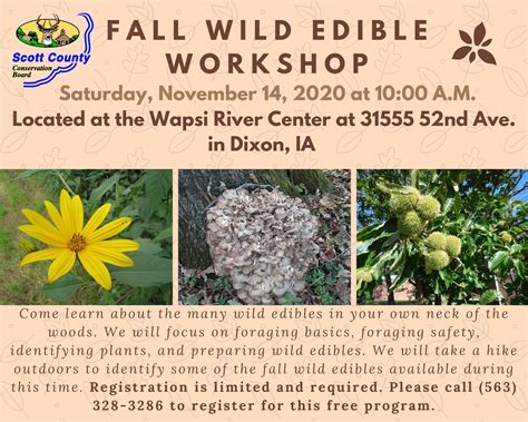 Fall Wild Edible Workshop Scott County Iowa