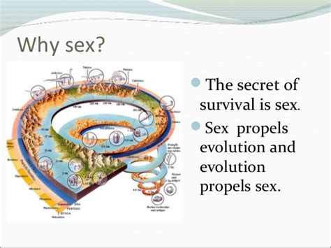 Evolution And Sex
