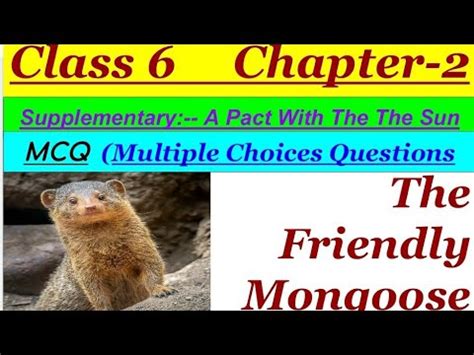 MCQ English Class 6 Chapter 2 The Friendly Mongoose NCERT CBSE