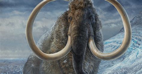 Scientists Map 17000 Year Old Woolly Mammoths Path Using Its Tusk Cnet