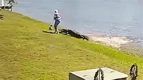 New Video Shows Fatal Florida Alligator Attack