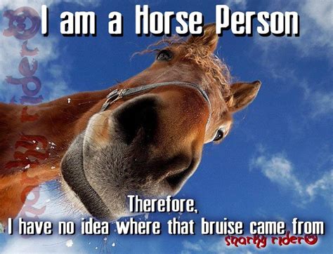 14 Funny Horse Memes That Will Make You Smile Funny H