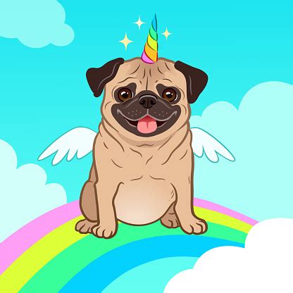 I would die for narwhal, a number of twitter commenters pledged. Unicorn Pug Dog With Horn And Wings Vector Cartoon Illustration Cute Pug Puppy In The Sky With ...