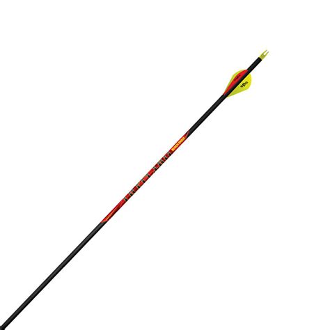 Black Eagle Outlaw 300 Arrows Arrow Hunting Bow Archery Compound For