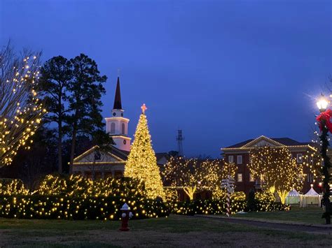 Texas is lucky to be home to a diverse range of wildlife. Christmas Decor & Lighting by GGA - Home | Facebook