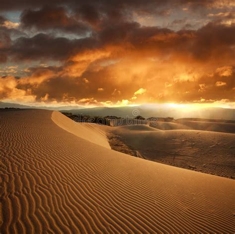 Wavy Sand Dune At Sunset On Background Dramatic Sky Clouds Stock Photo