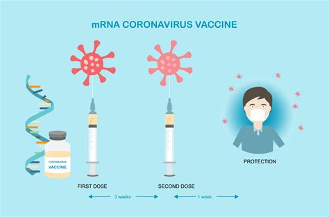 'what is really the current challenge. How mRNA vaccines from Pfizer and Moderna work, why they ...