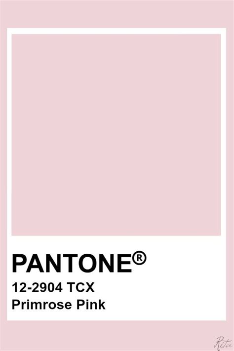 Pantone Primrose Pink Pantone Colour Palettes Pantone Pink Pantone