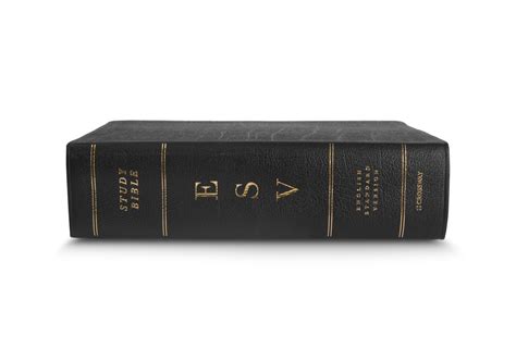 Esv Study Bible Large Print Genuine Leather Black English Standard