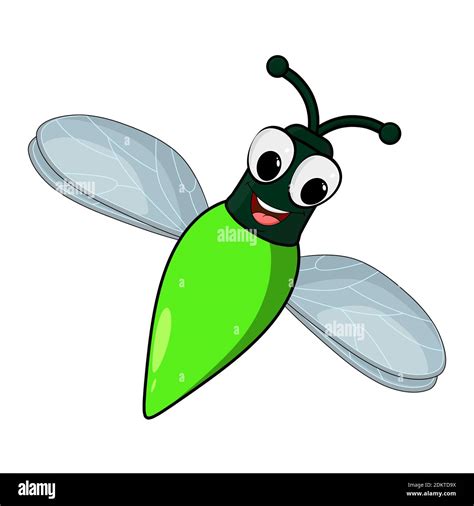Firefly Insect Cartoon Illustration Isolated On White Background