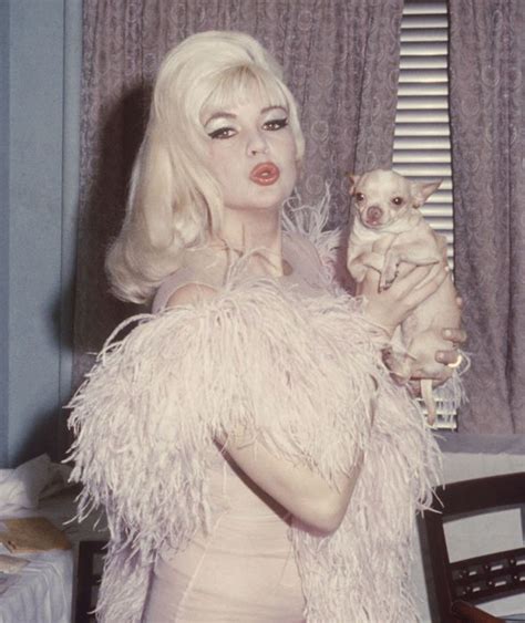 jayne mansfield with a chihuahua in the dressing room of the latin quarter night club 1970s